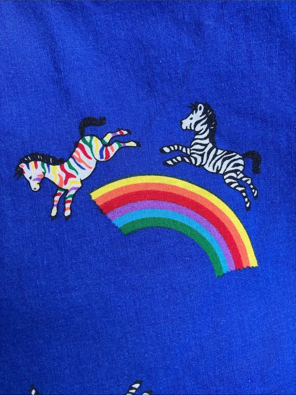 Rainbow zebras vintage pillowcase